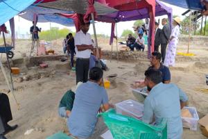 செம்மணியில் 40 மனித எச்சங்கள் கண்டுபிடிக்கப்பட்டுள்ளன