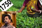 ஜனாதிபதியின் ரூ.1,750 வாக்குறுதி காற்றுடன் பறந்துவிடக்கூடாது