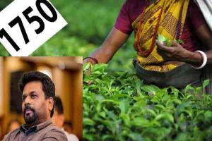 ஜனாதிபதியின் ரூ.1,750 வாக்குறுதி காற்றுடன் பறந்துவிடக்கூடாது