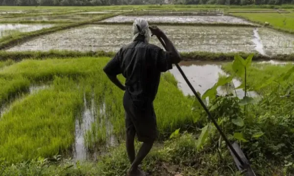 நாளை முதல் வெள்ளத்தால் சேதமடைந்த பயிர்களுக்கான இழப்பீடு ஆரம்பம்!