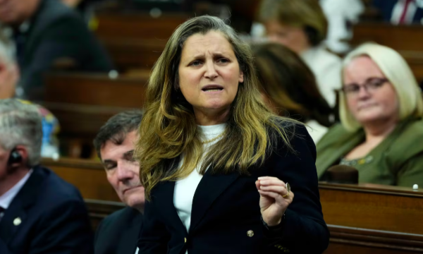 கனடிய முன்னாள் அமைச்சருக்கு பிரித்தானியாவில் உயர் பதவி