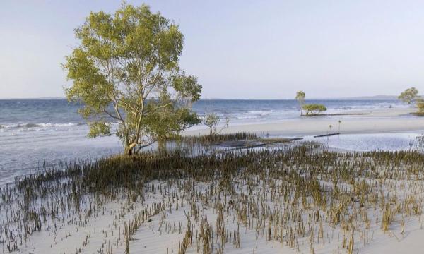 குயின்ஸ்லாந்தில் கனடியப் பெண் சடலமாக மீட்பு!