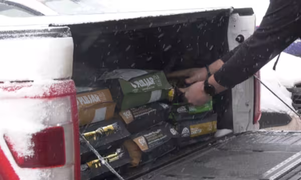 ஒரே வீட்டில் 43 நாய்கள் மீட்பு: மனிதாபிமான அடிப்படையில் கைகொடுக்கும் PEI சமூகத்தினர்!