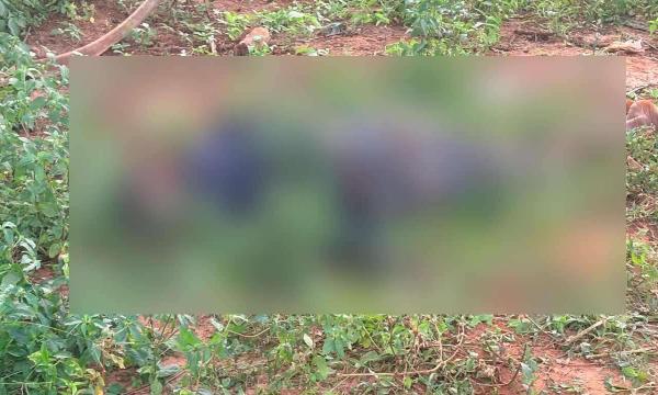 யாழ். காணித் தகராறில் ஒருவர் அடித்துக் கொலை